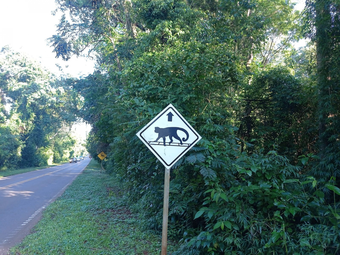Herramientas viales para la conservación de la fauna en el Parque Nacional  Iguazú - Turismo530